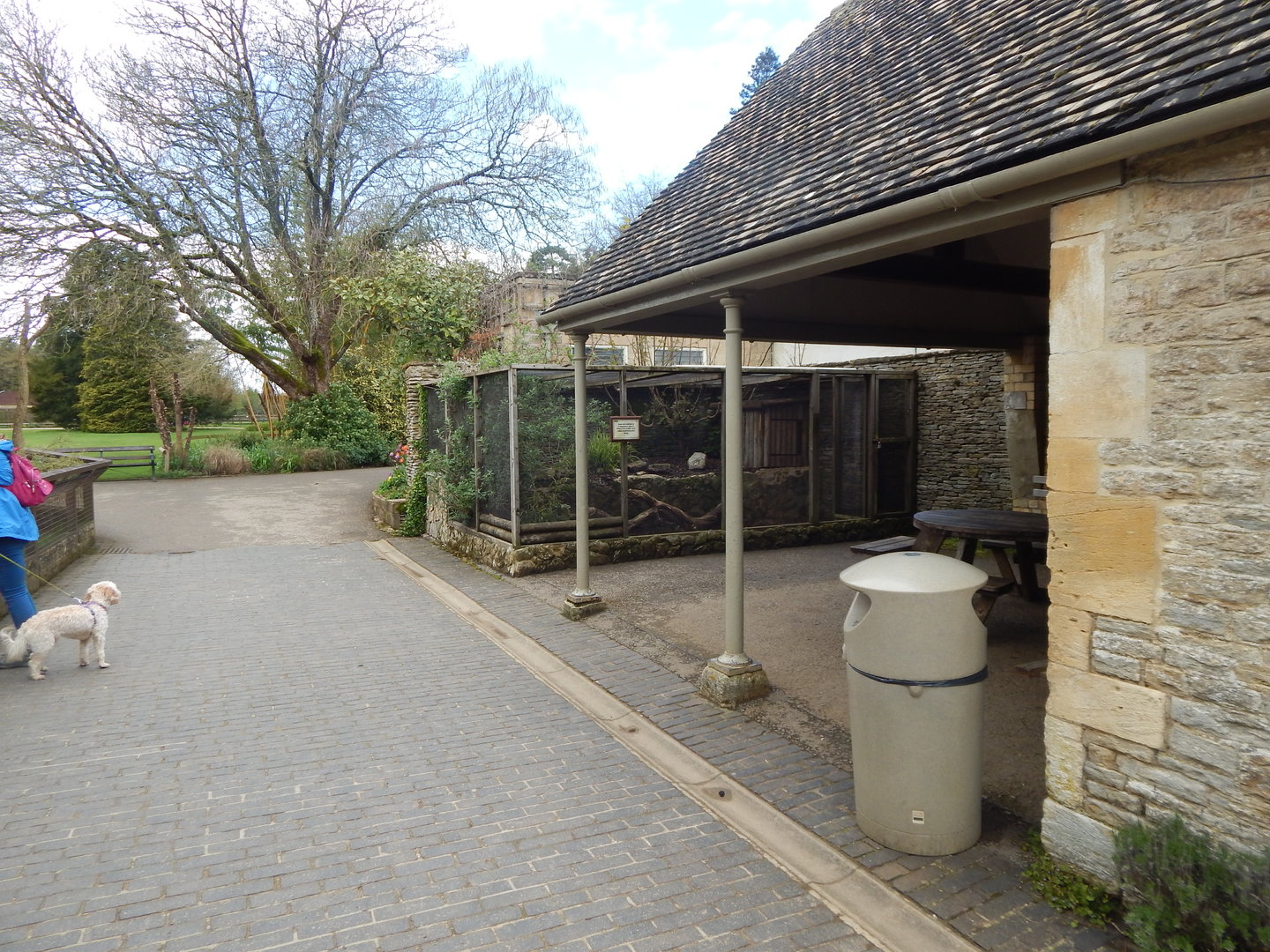 Sumatran Prevost's squirrel enclosure 280423