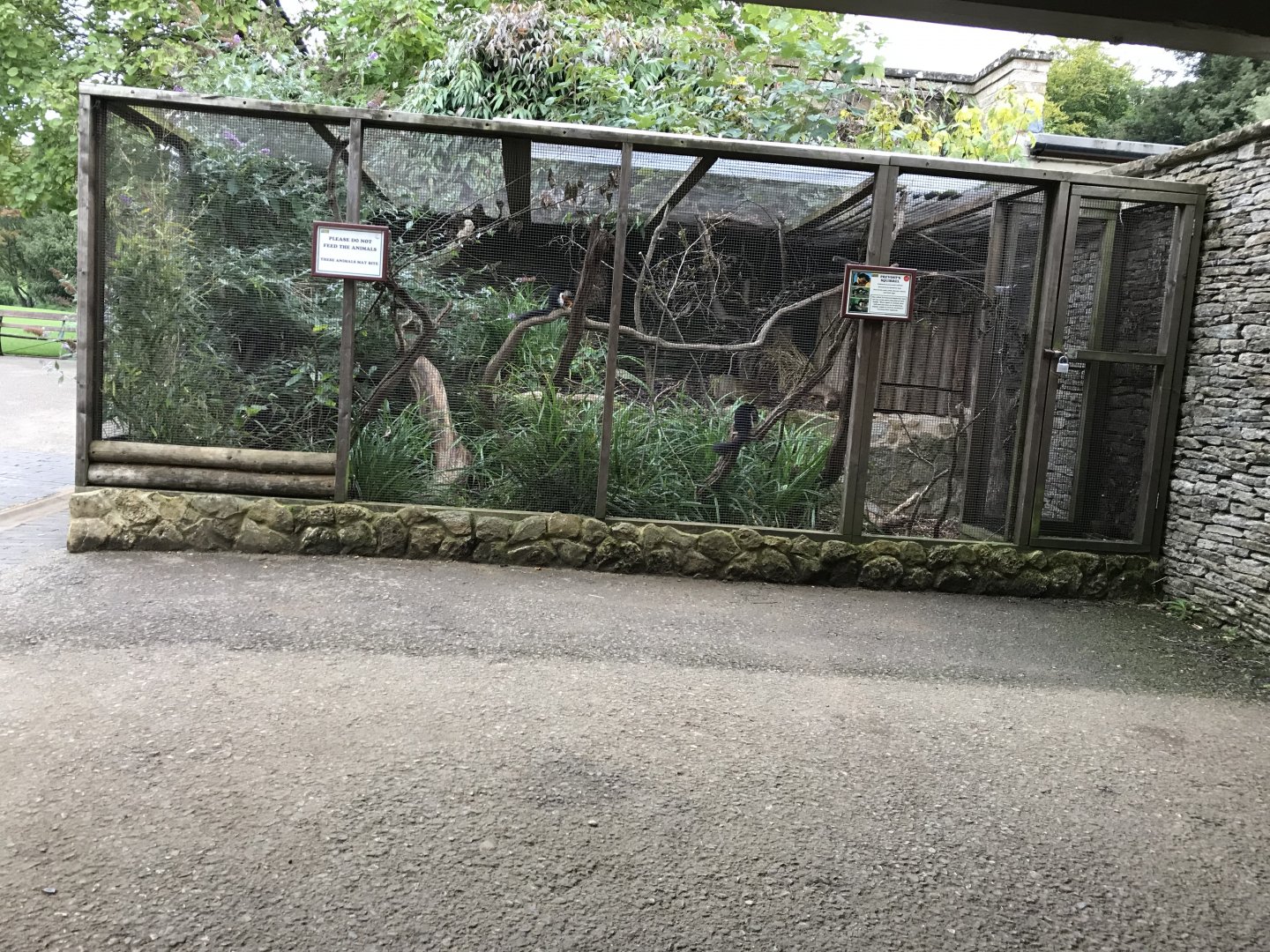 Sumatran Prevost's squirrel exhibit 071019
