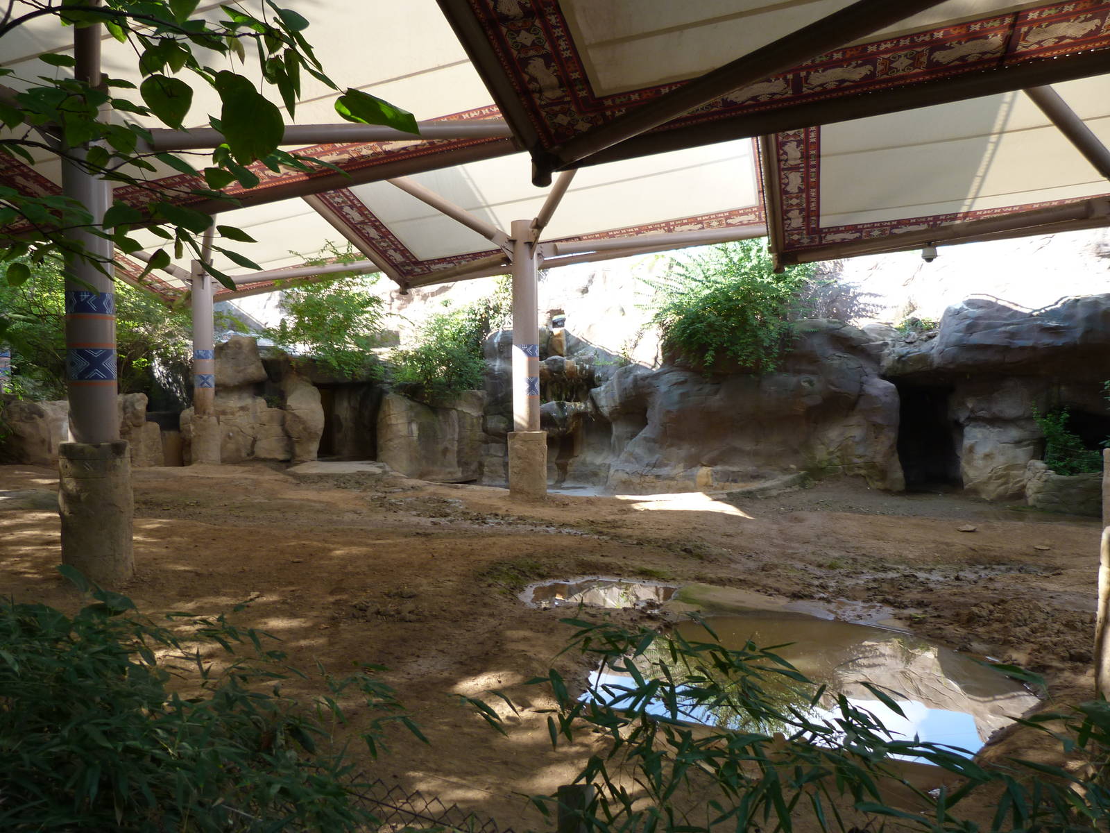 Sumatran Rhino Right Exhibit