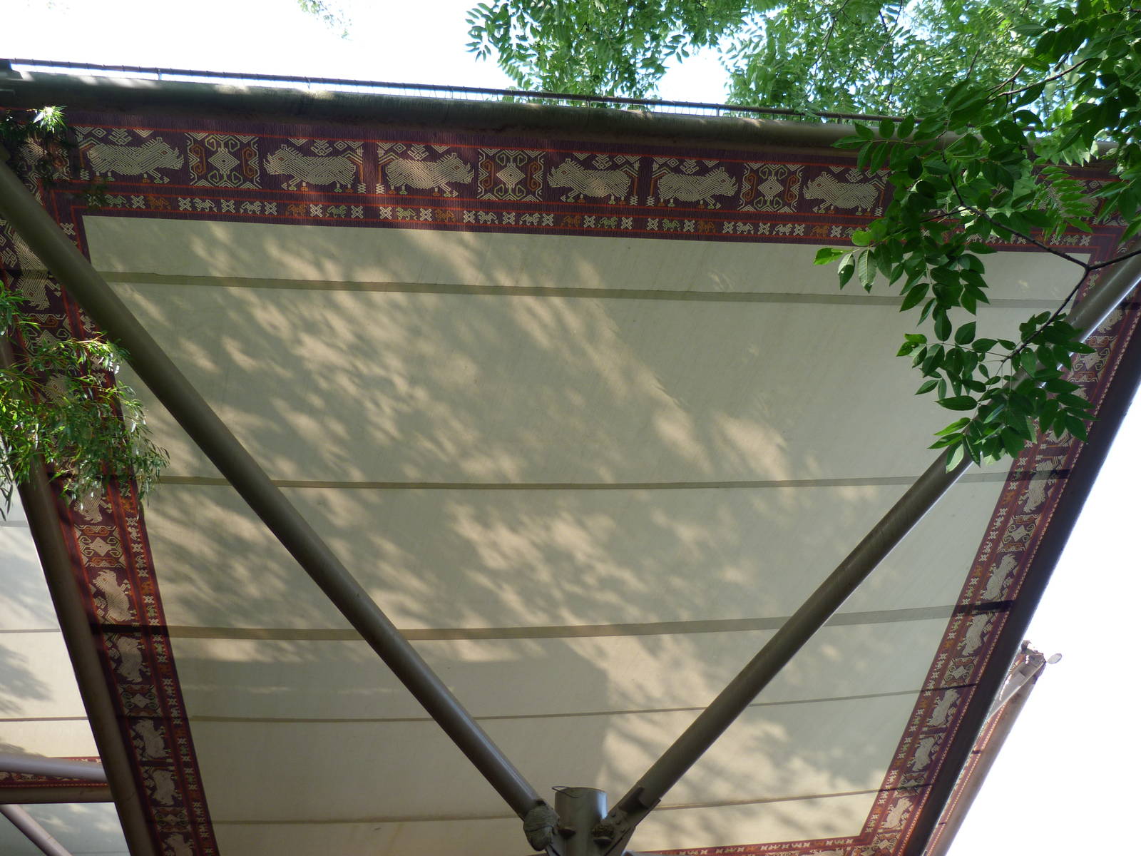 Sumatran Rhino Shading Structure