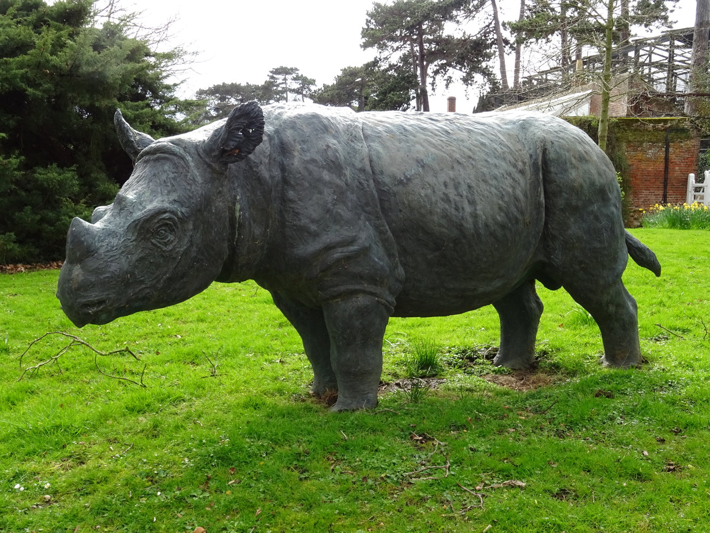 Sumatran Rhinoceros 'Torgamba' Statue