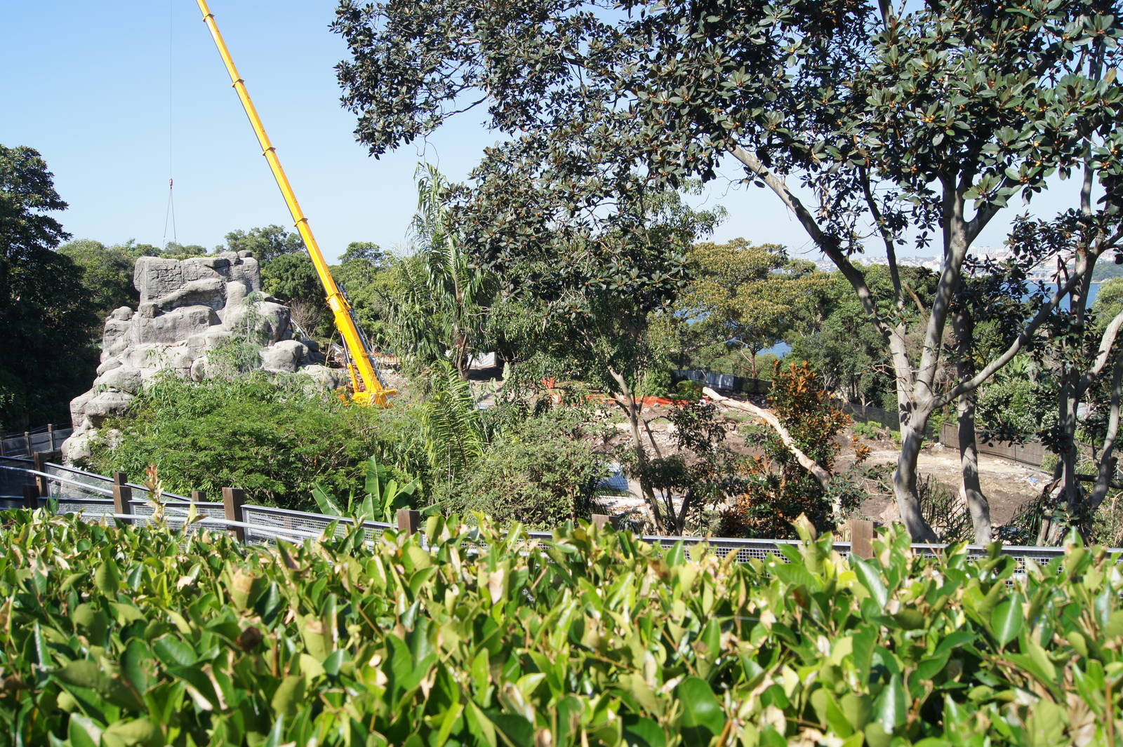 Sumatran Tiger Adventure progress