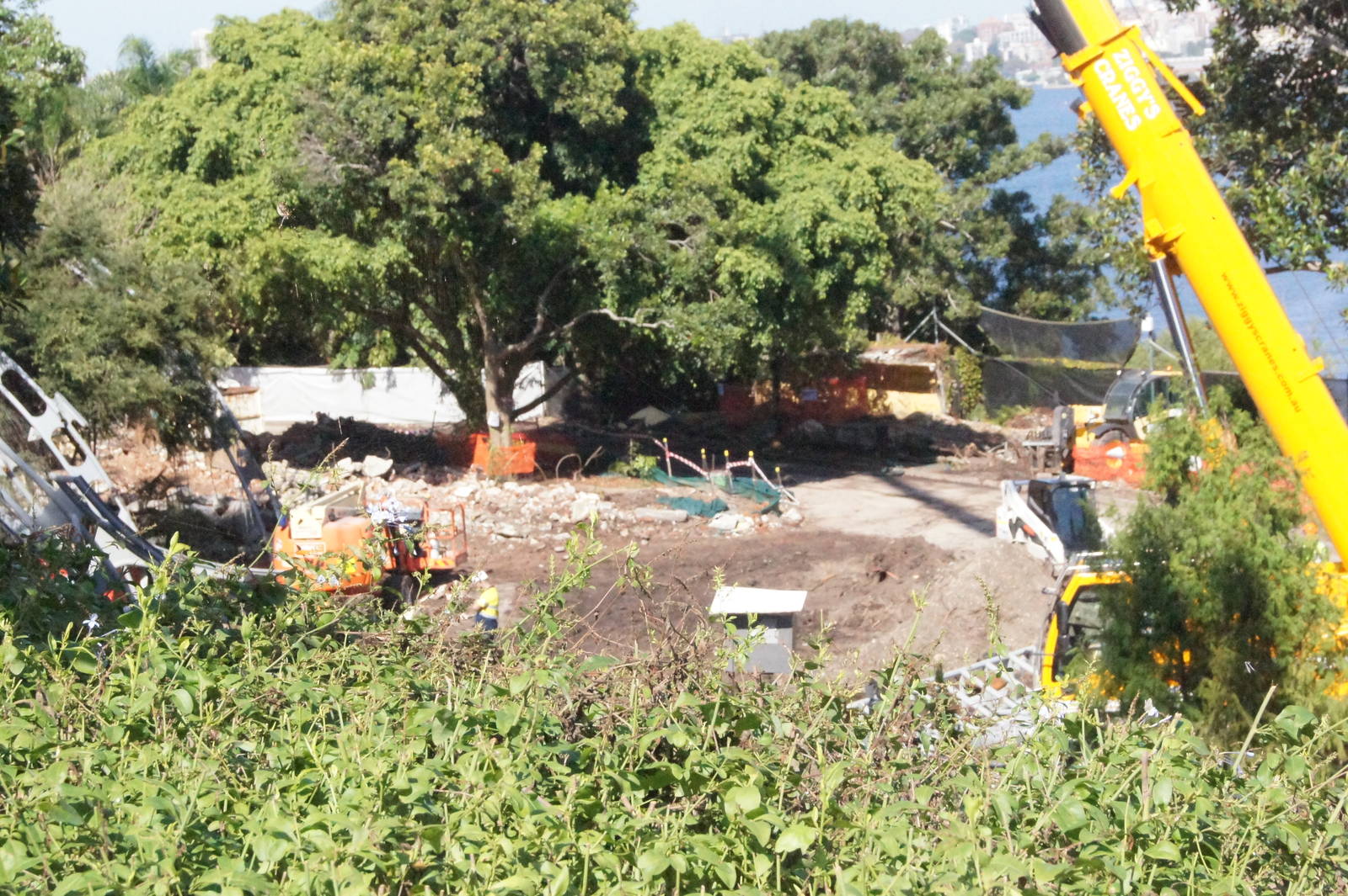 Sumatran Tiger Adventure progress