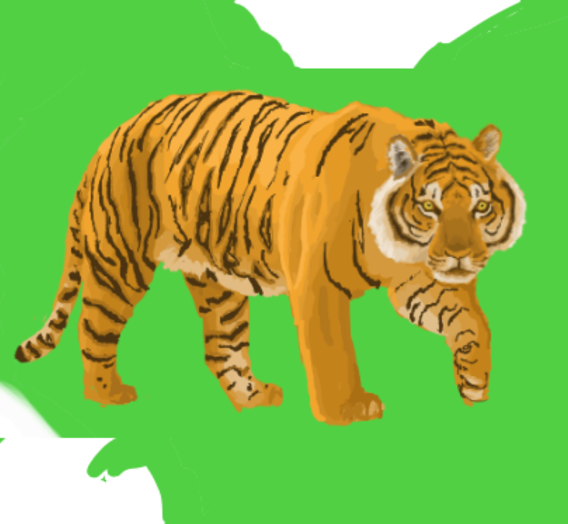Sumatran tiger - Chester Zoo Map