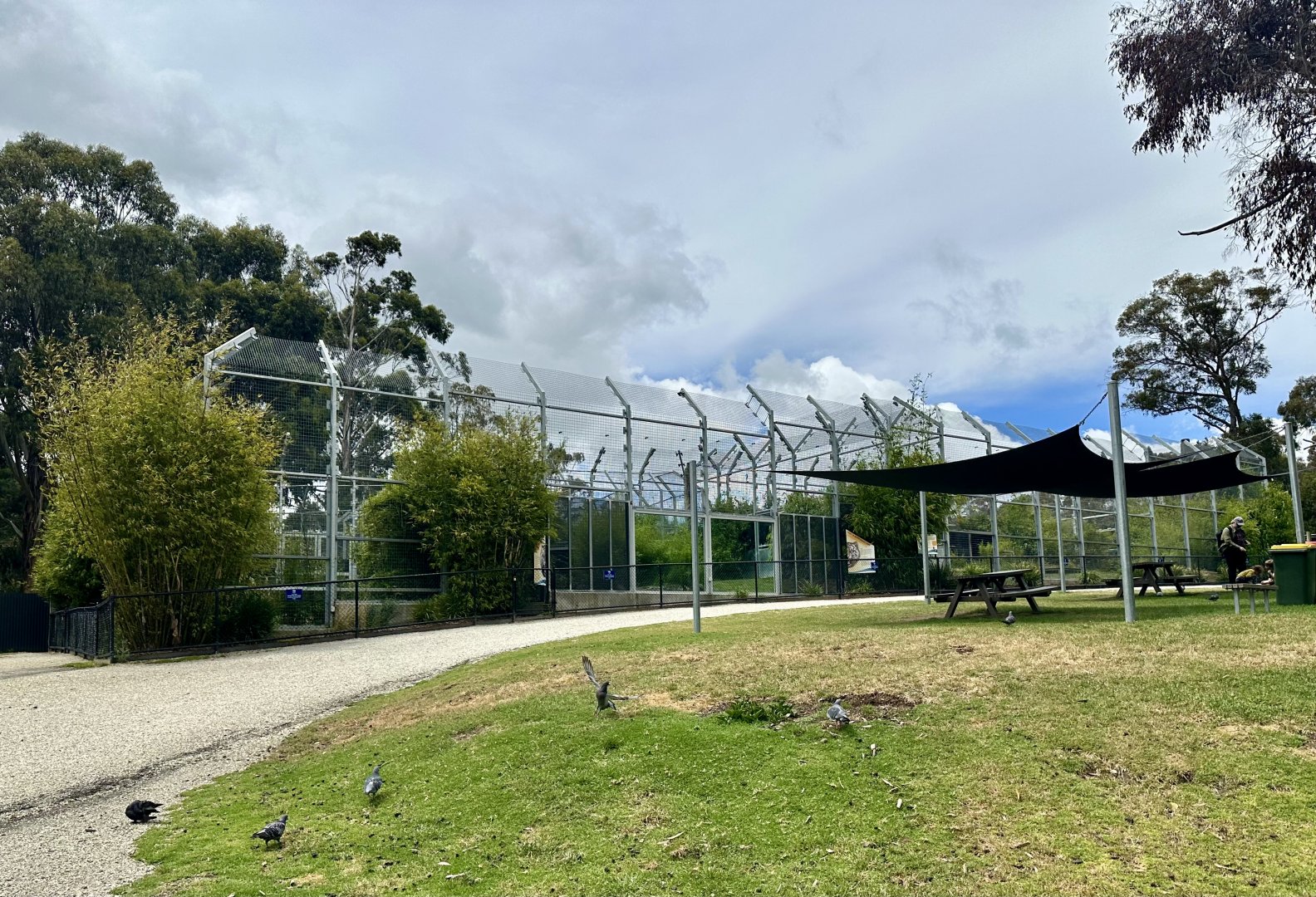 Sumatran Tiger Complex