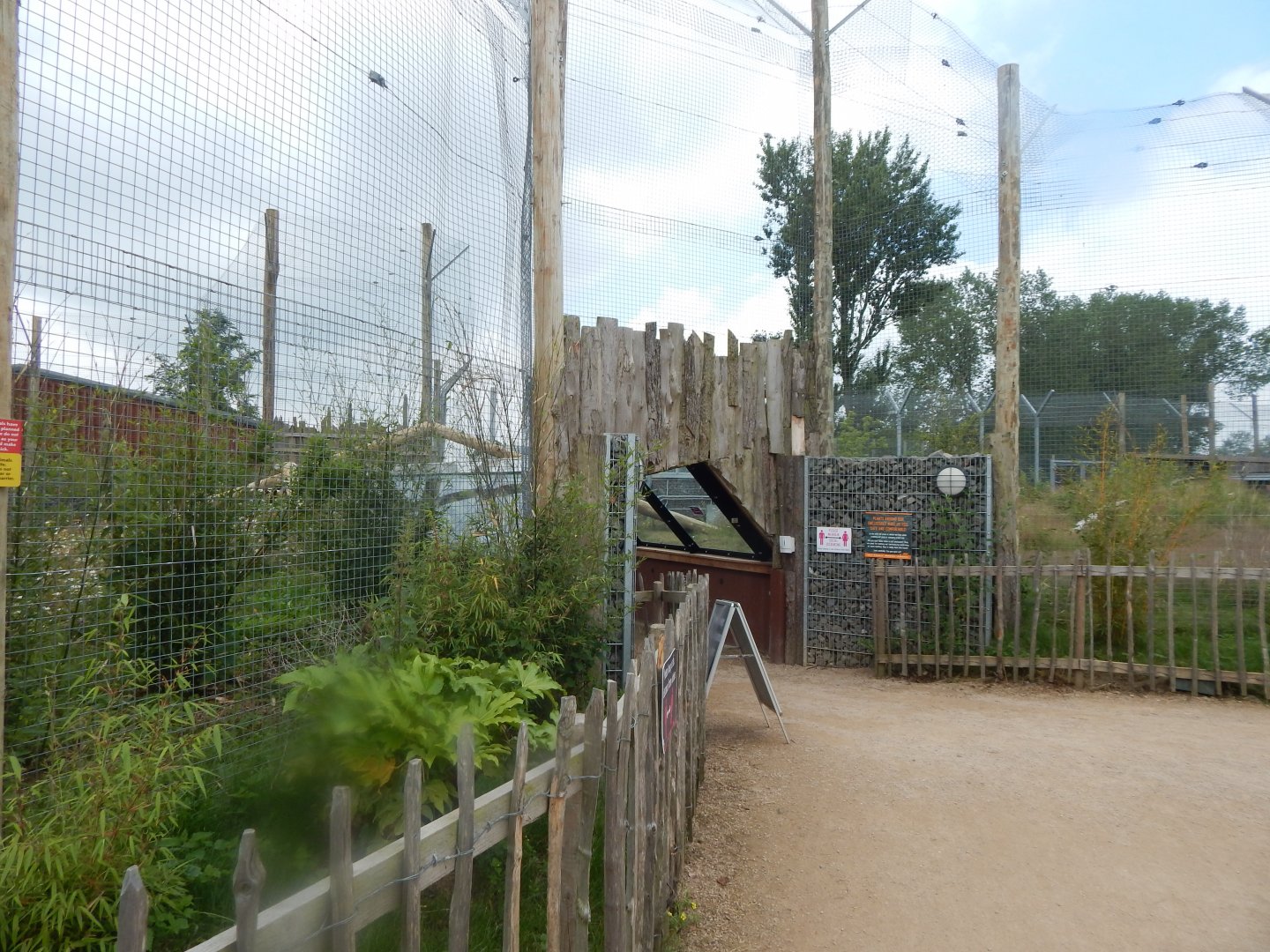 Sumatran tiger enclosure 020721