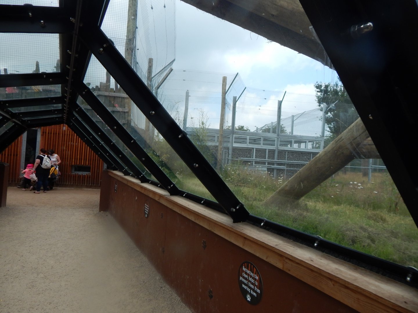 Sumatran tiger enclosure 020721