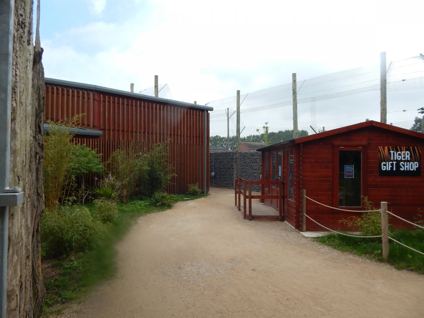Sumatran tiger enclosure 020721