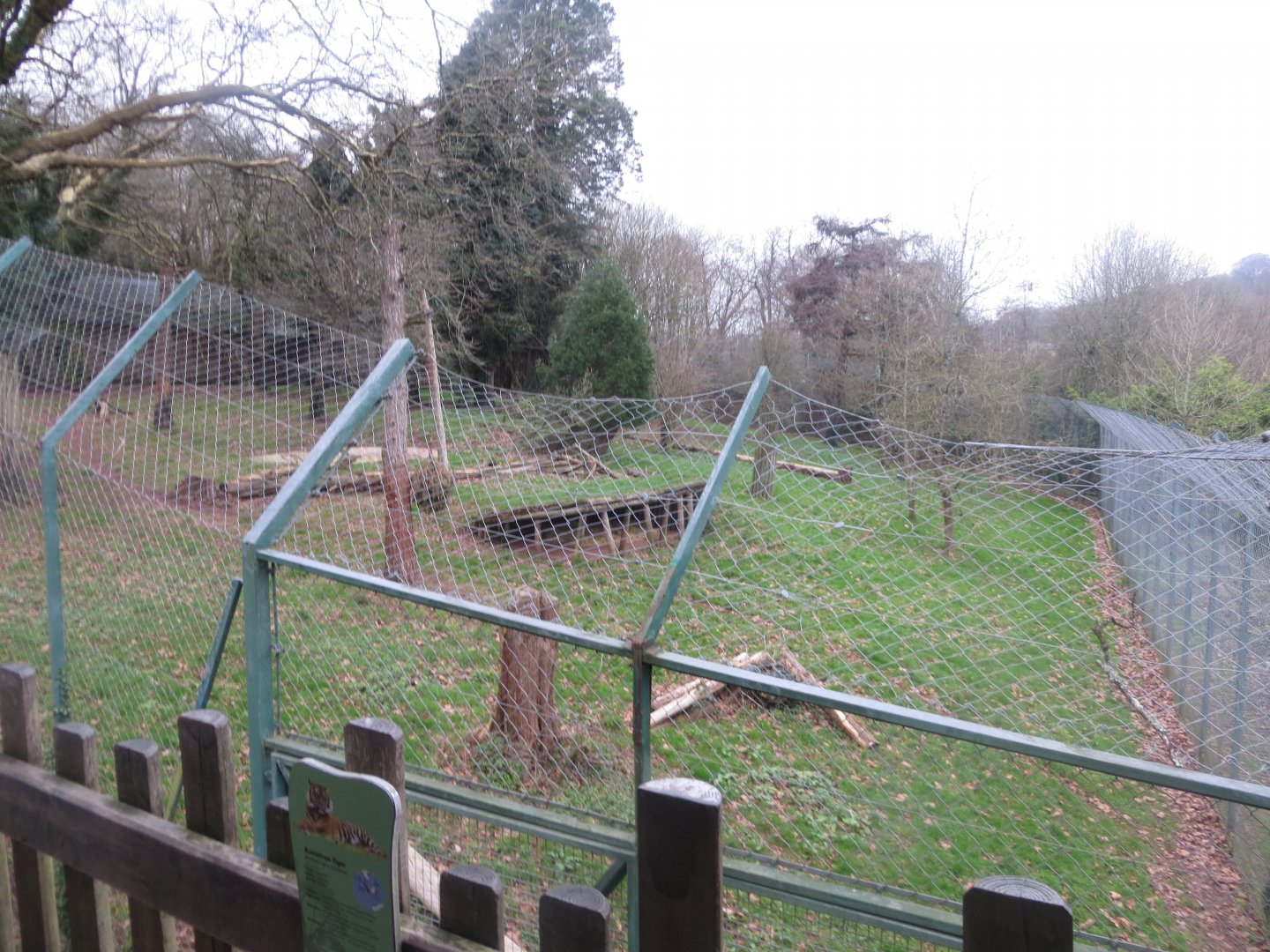 Sumatran tiger enclosure 050119