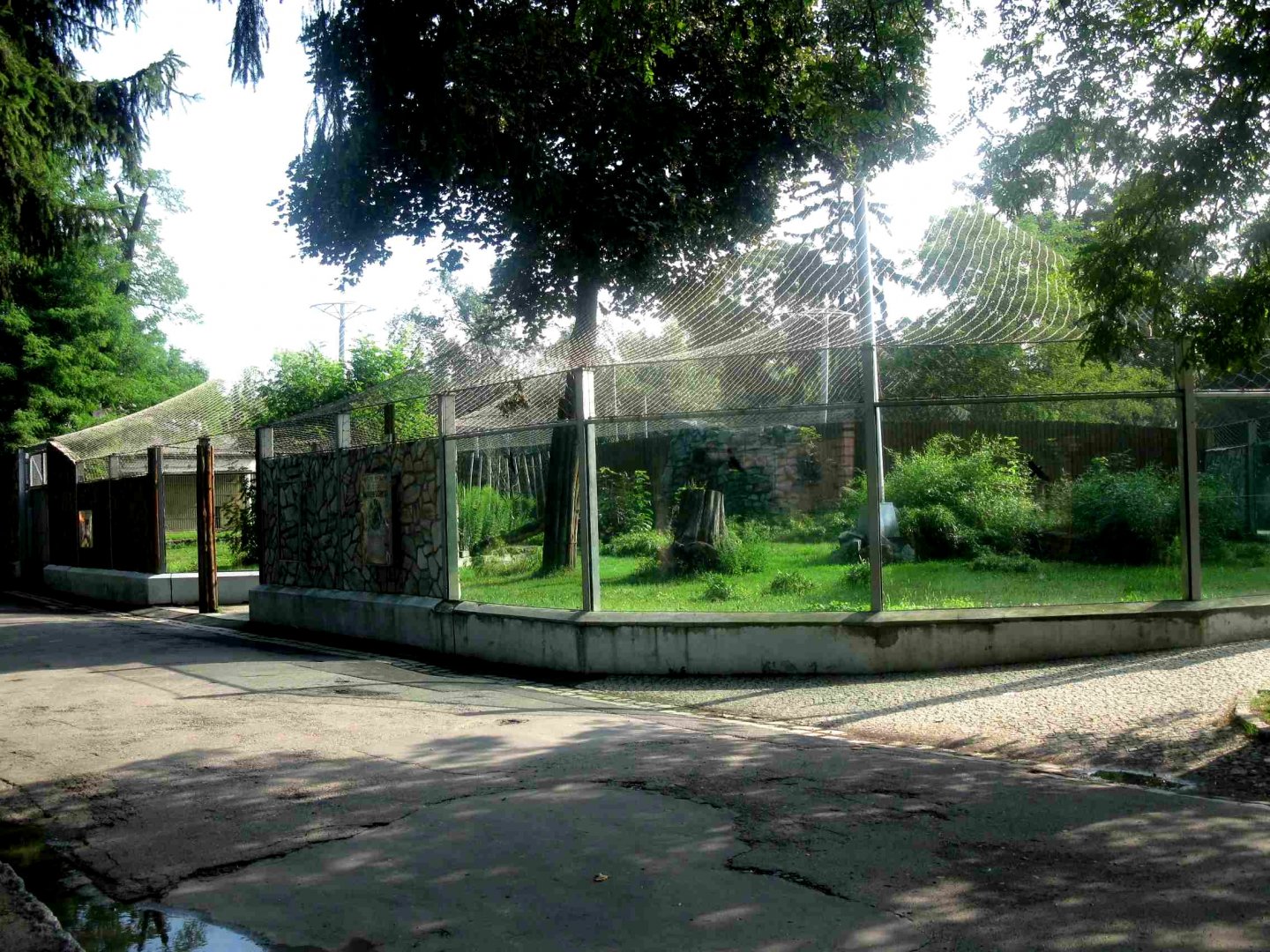 Sumatran Tiger enclosure - 08.2013