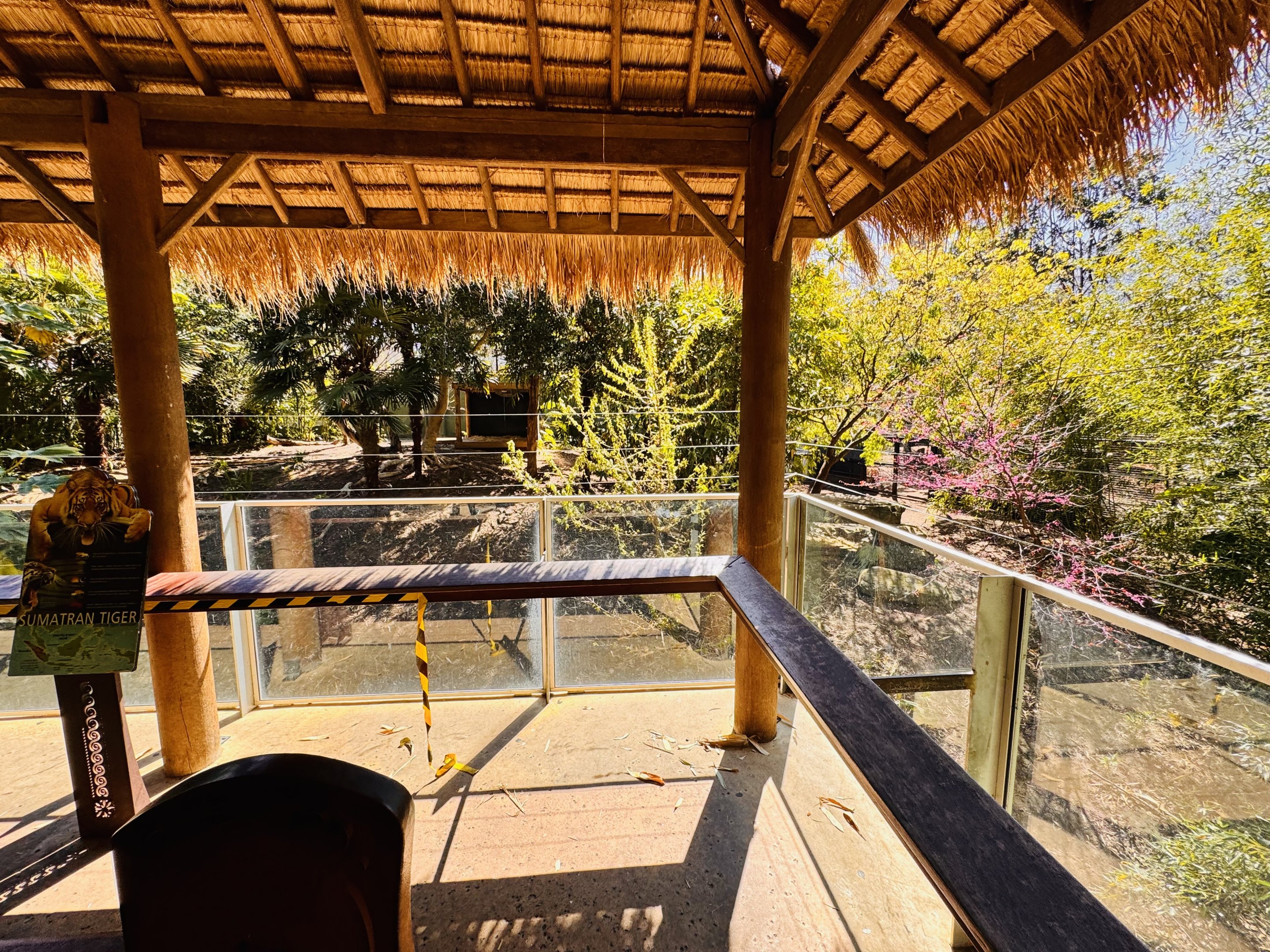 Sumatran tiger enclosure #1