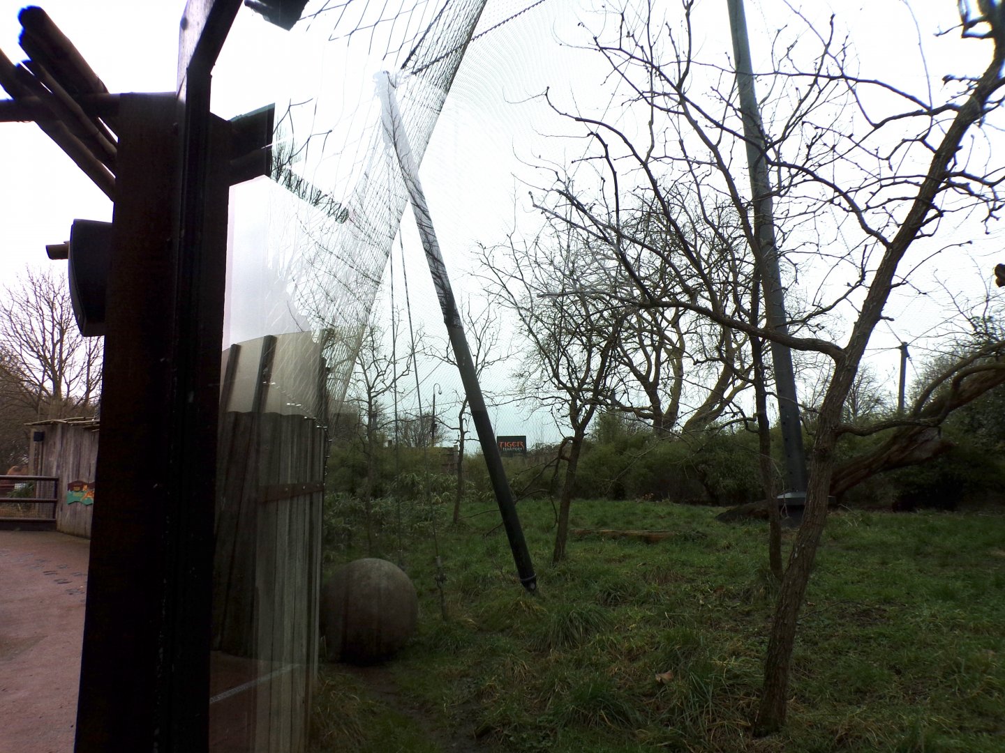 Sumatran tiger enclosure 11.2.25