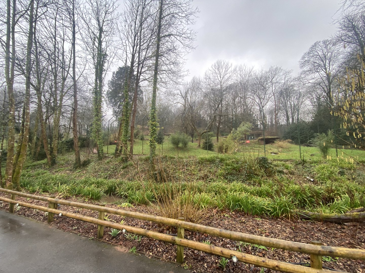 Sumatran tiger enclosure 140225