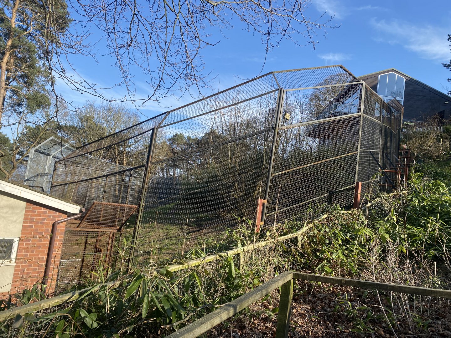 Sumatran tiger enclosure 190325