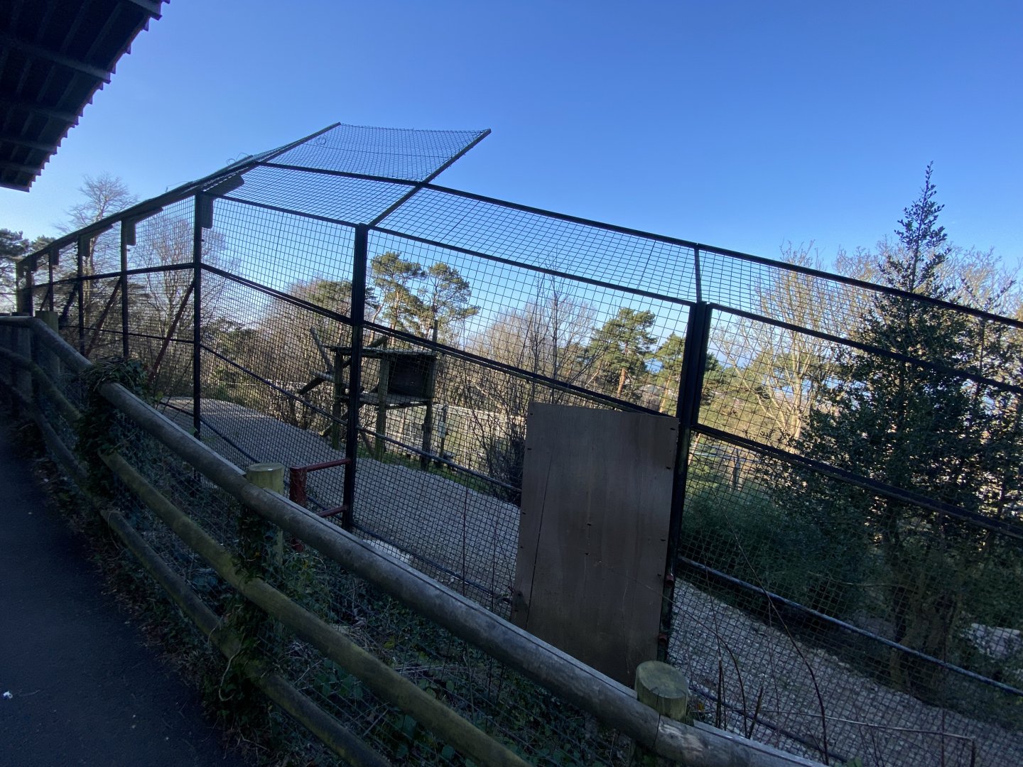 Sumatran tiger enclosure 190325