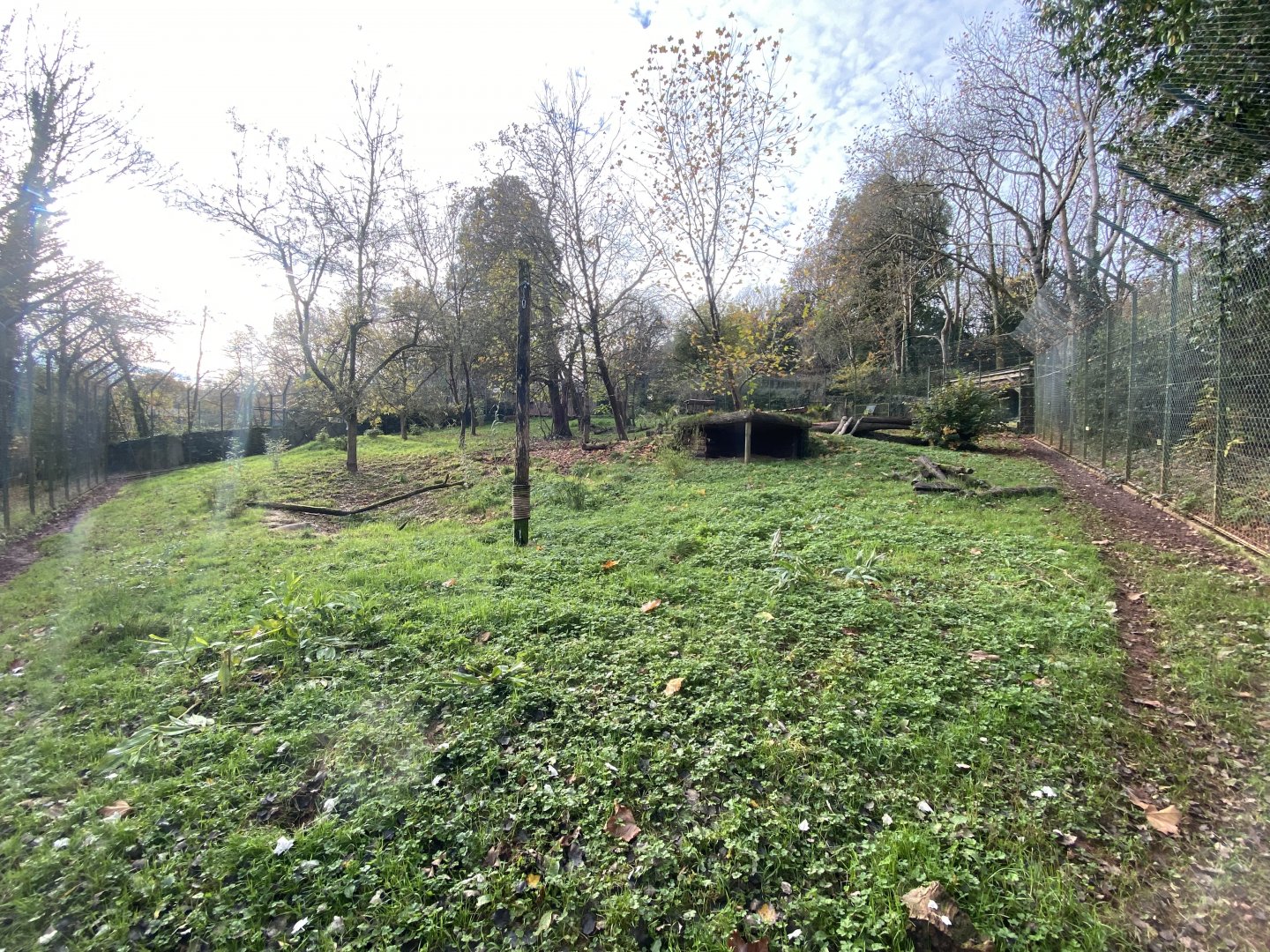 Sumatran tiger enclosure 201121