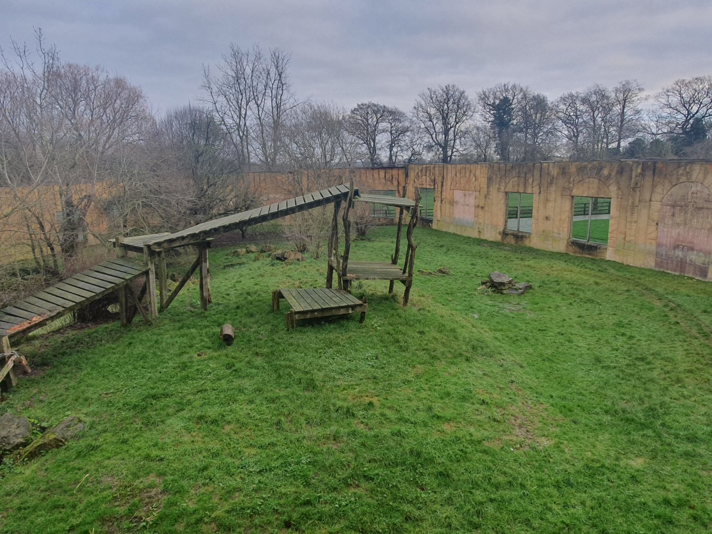 Sumatran Tiger enclosure 3/1/24