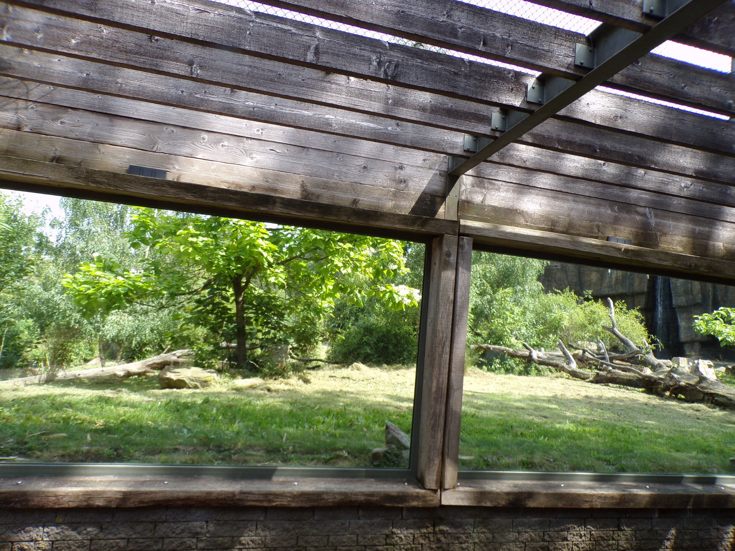 Sumatran tiger enclosure 6.7.23