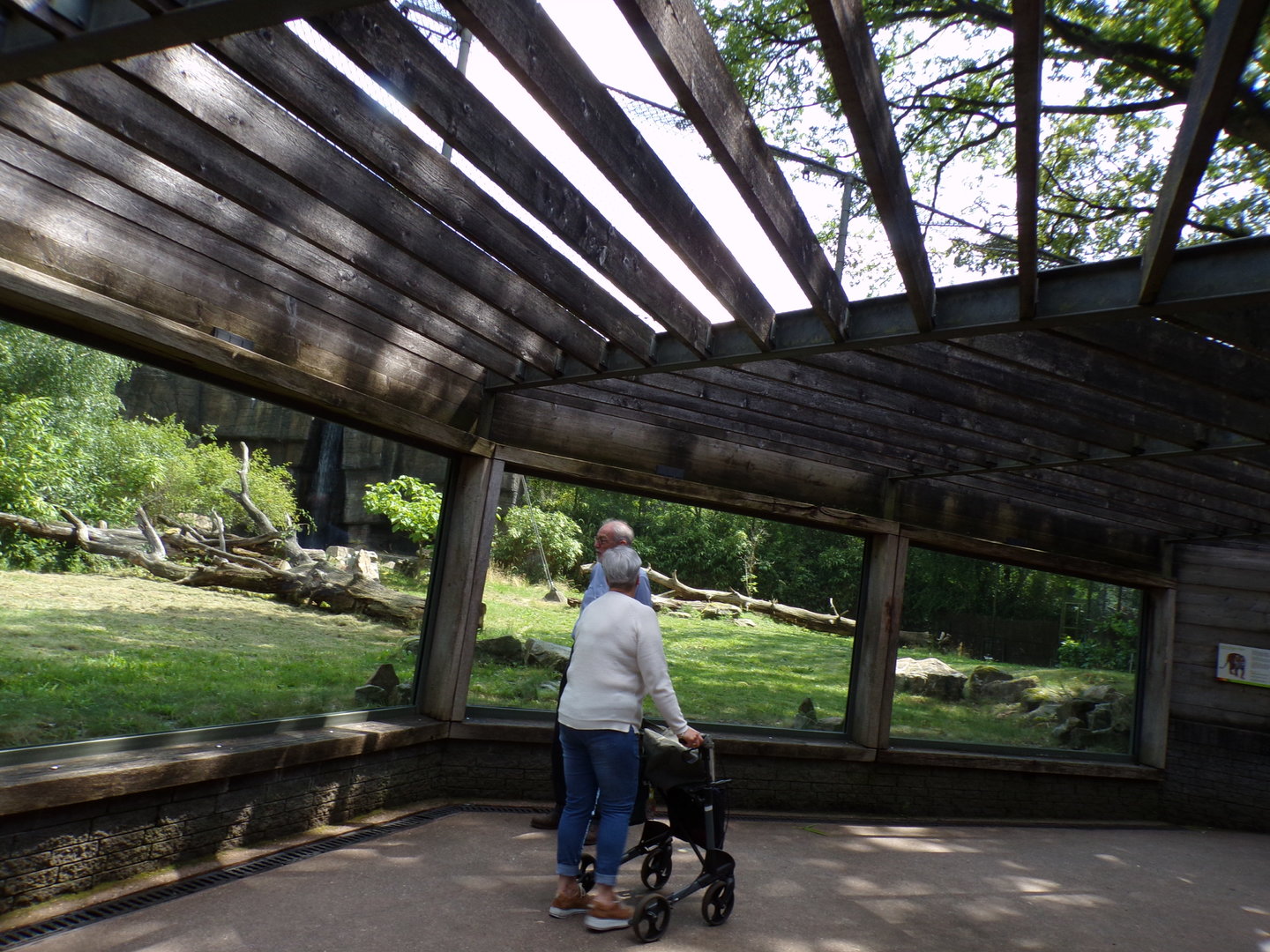 Sumatran tiger enclosure 6.7.23