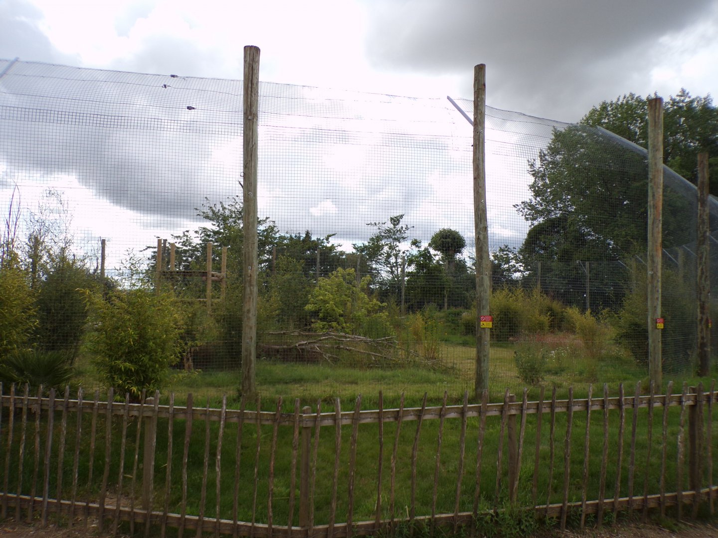 Sumatran tiger enclosure 7.7.24