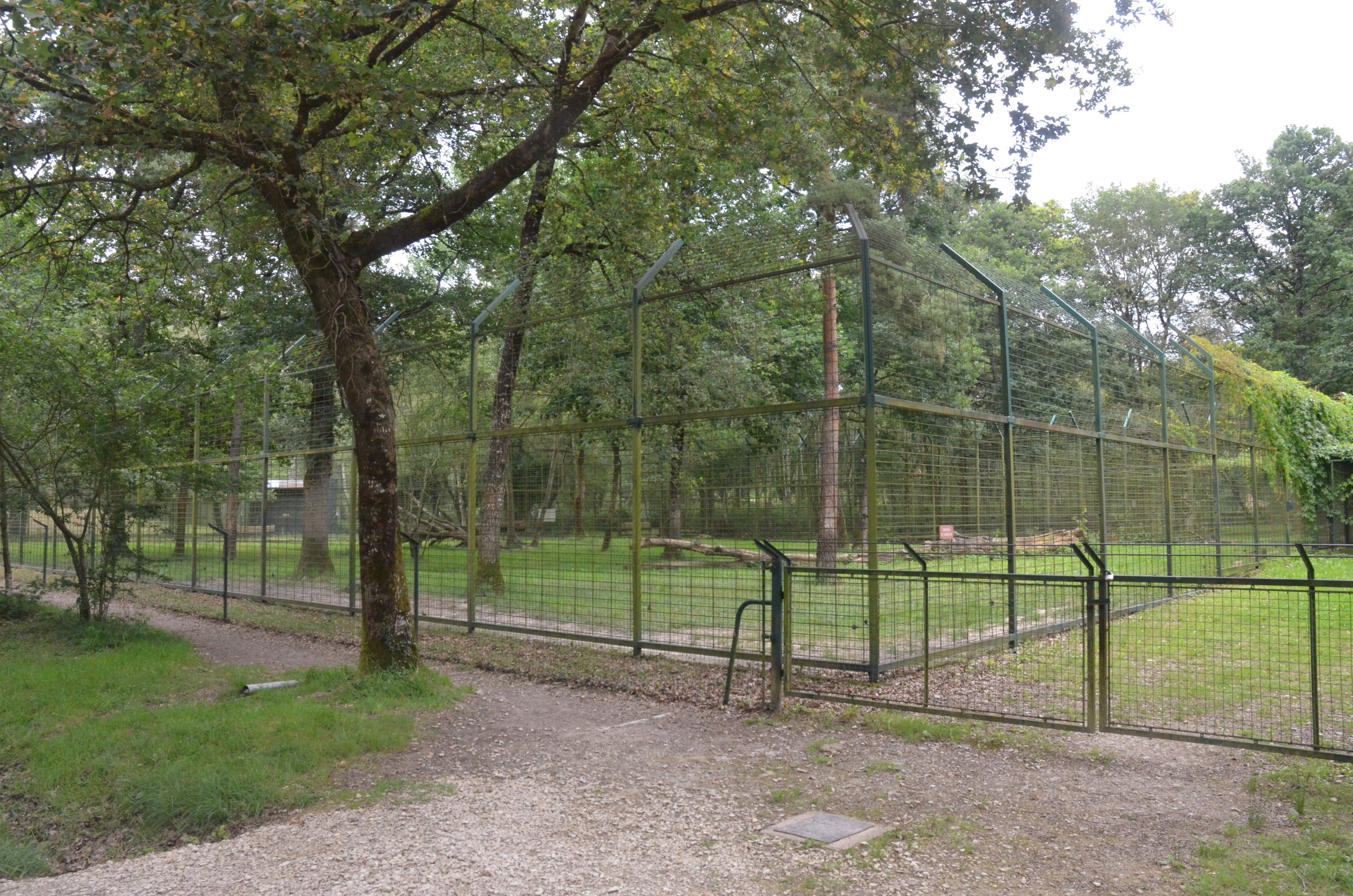 Sumatran Tiger Enclosure at Haute-Touche, 14/06/18