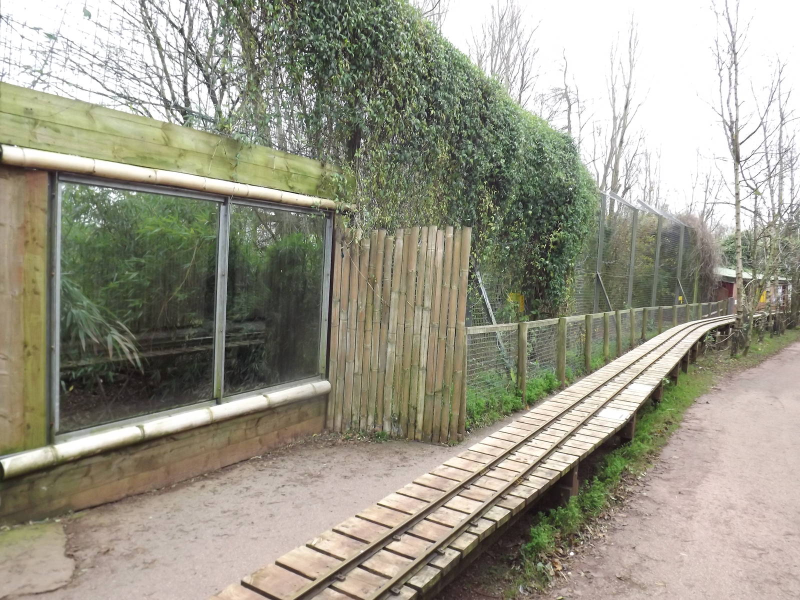 Sumatran tiger enclosure at South Lakes WAP 26/11/11