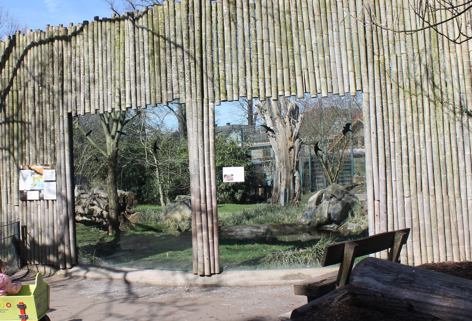 Sumatran tiger-enclosure - empty