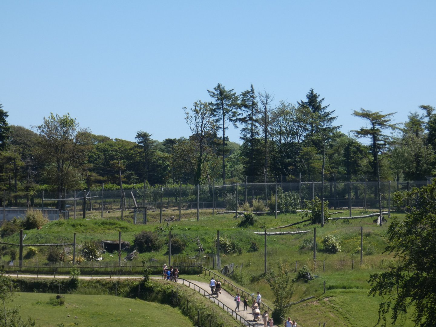 Sumatran tiger enclosure from distance