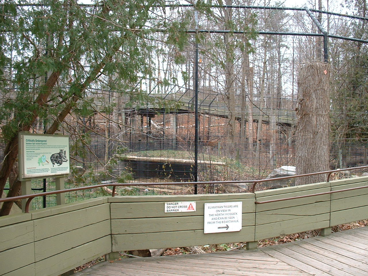 Sumatran Tiger Enclosure - Nov 2012