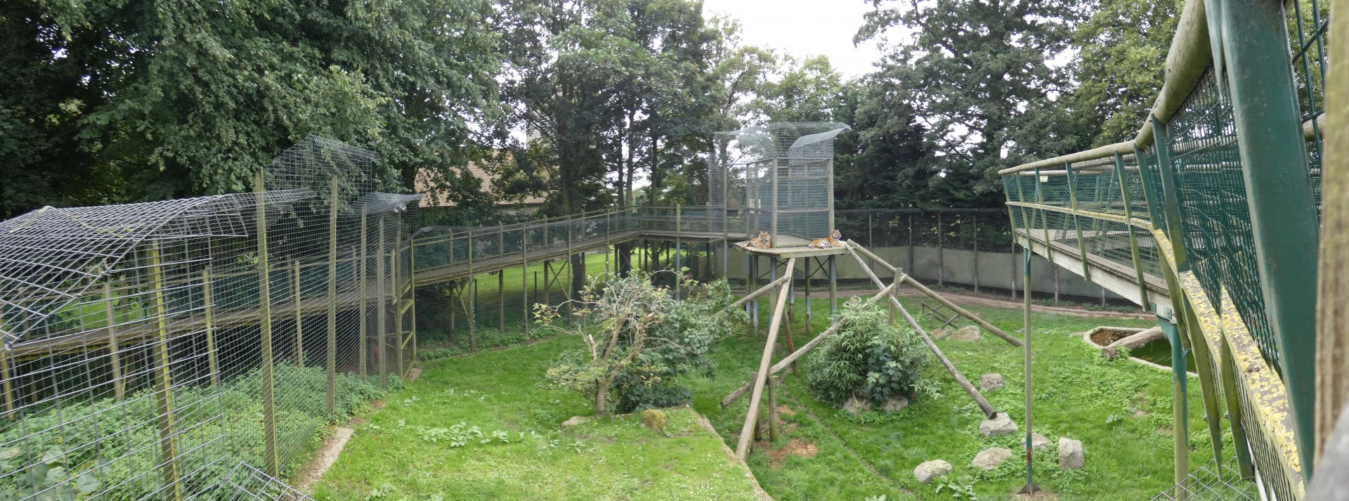 Sumatran tiger enclosure panorama