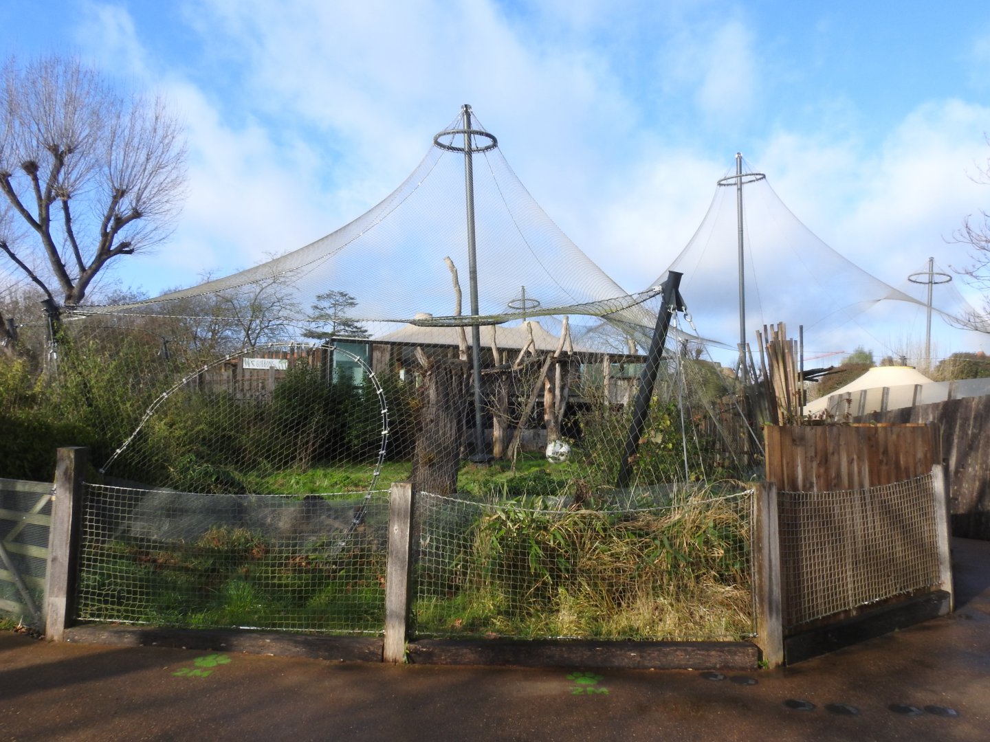 Sumatran Tiger Enclosure (Panthera tigris sondaica ) Enclosure