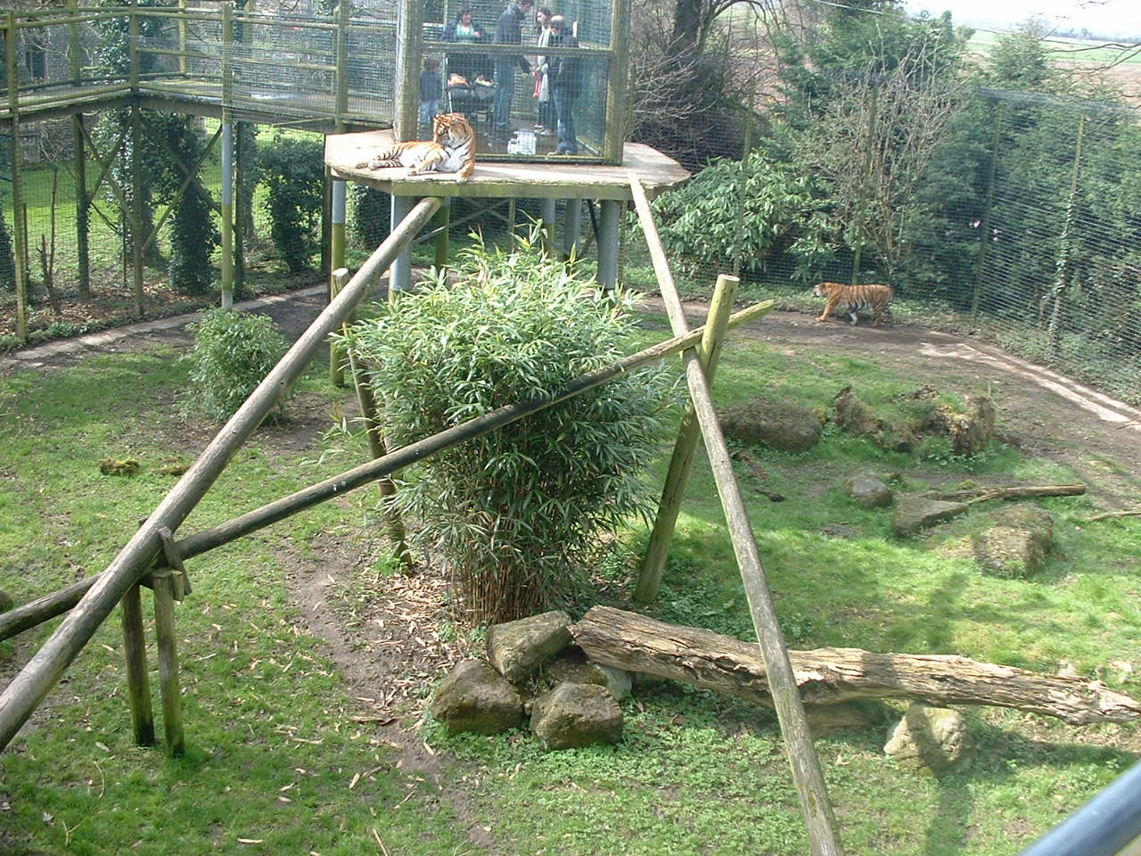 Sumatran Tiger Enclosure - Thrigby 2008