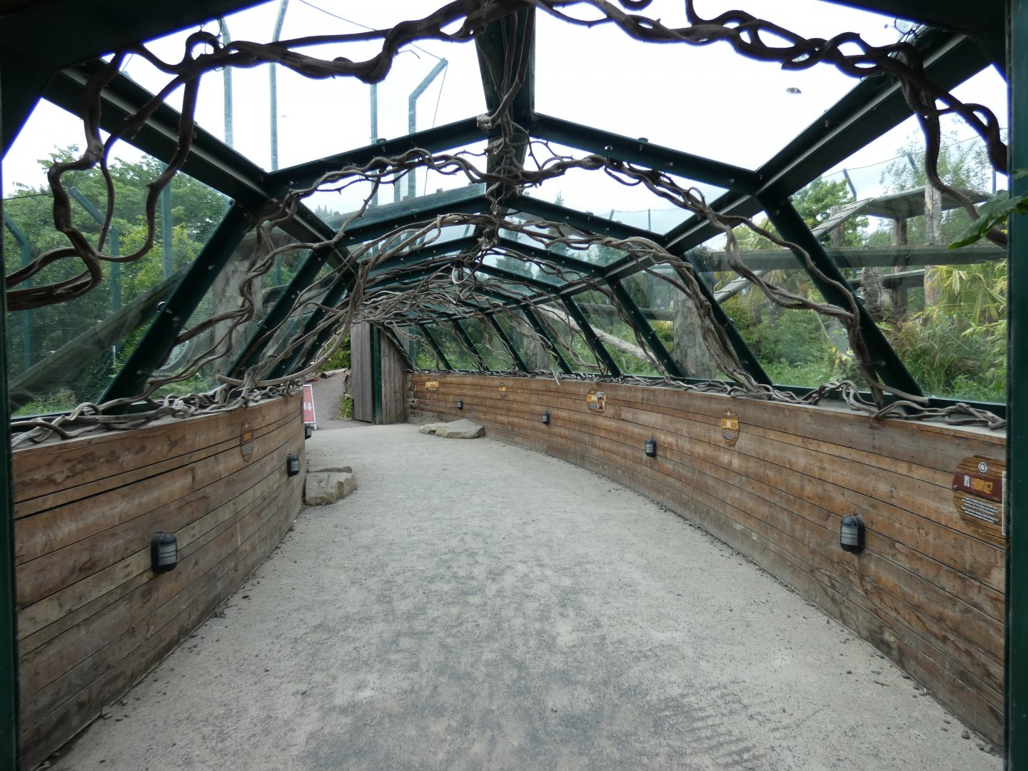 Sumatran tiger enclosure viewing area