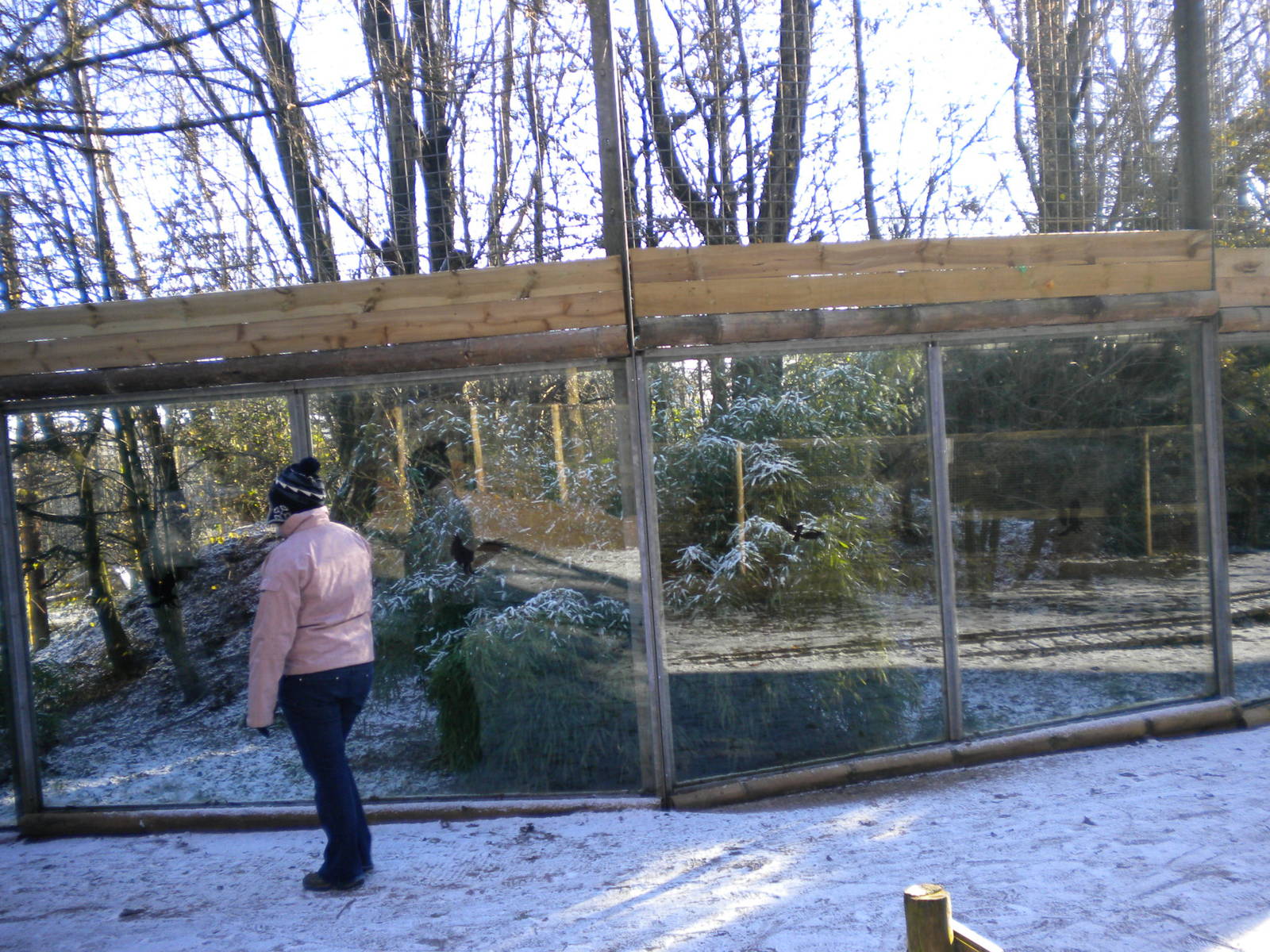 Sumatran Tiger Enclosure.