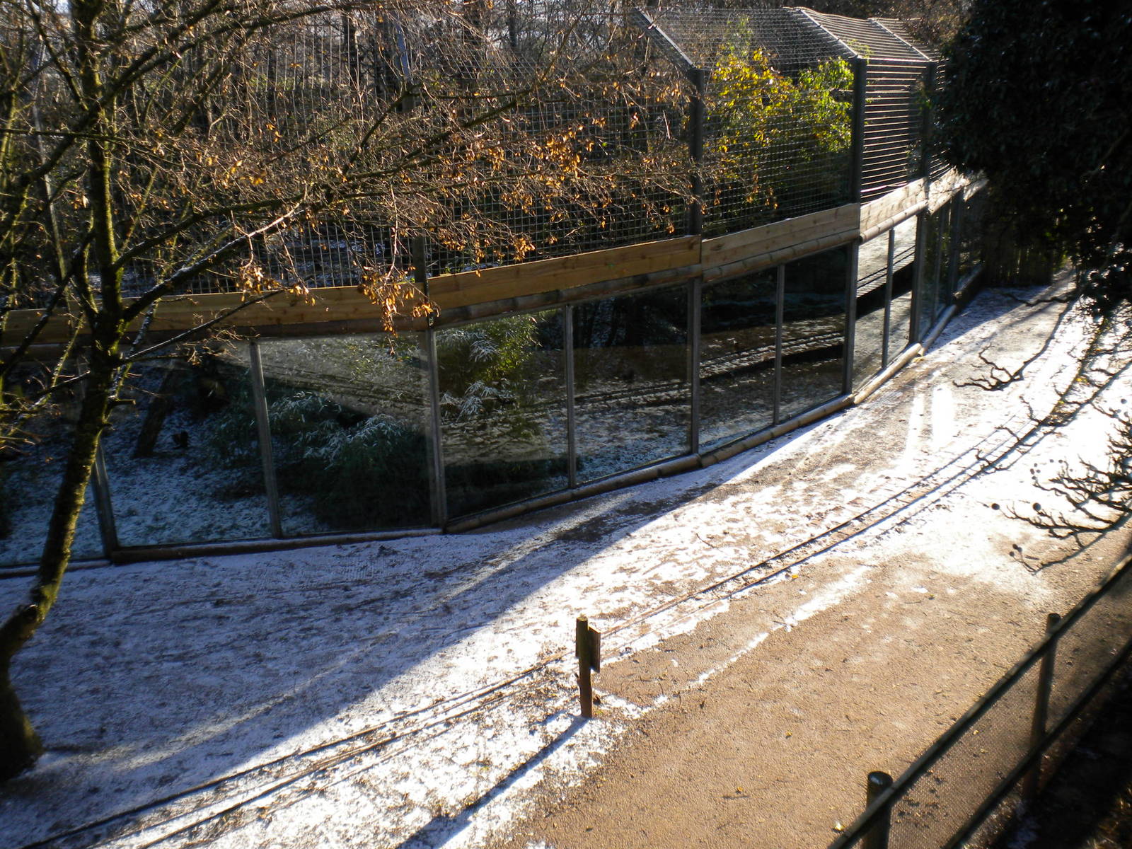 Sumatran Tiger Enclosure.
