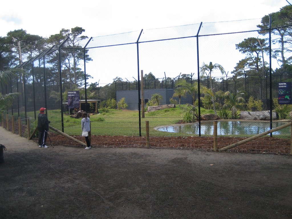 Sumatran Tiger enclosure