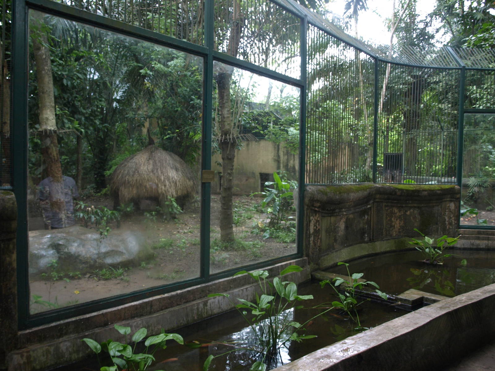 Sumatran tiger enclosure