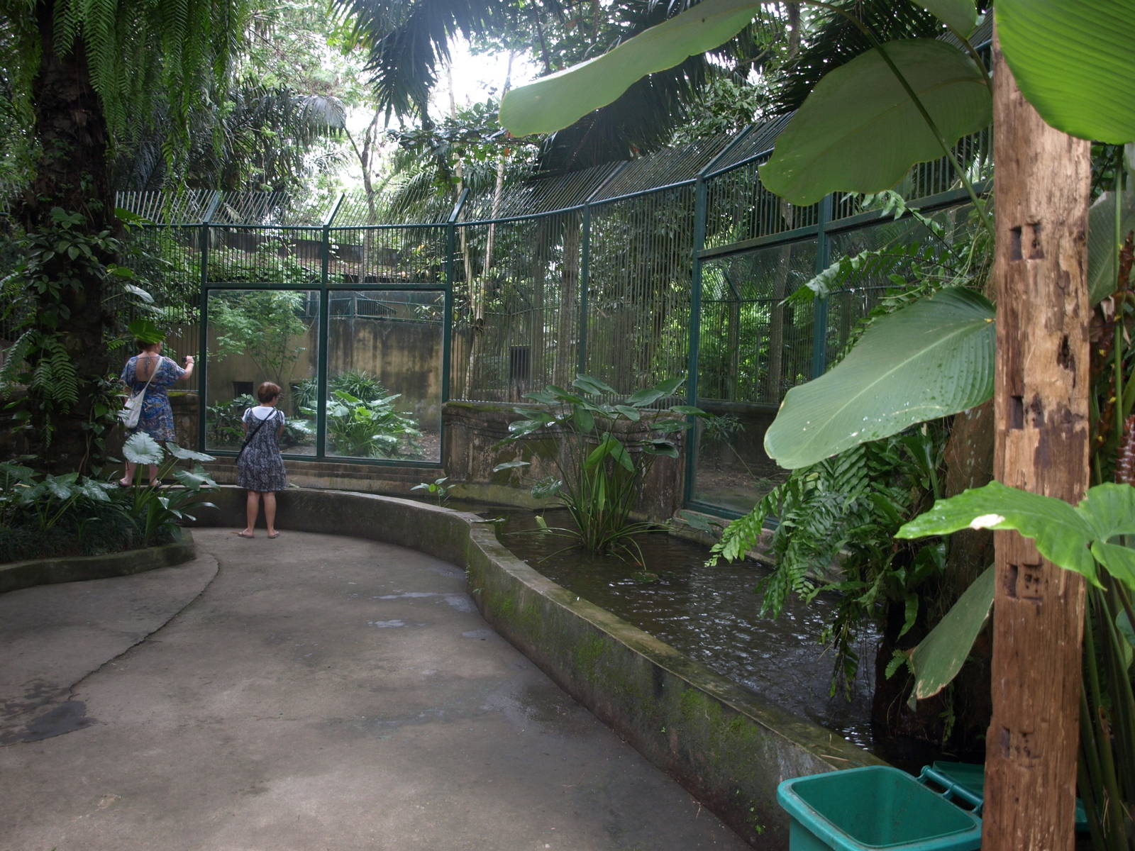 Sumatran tiger enclosure