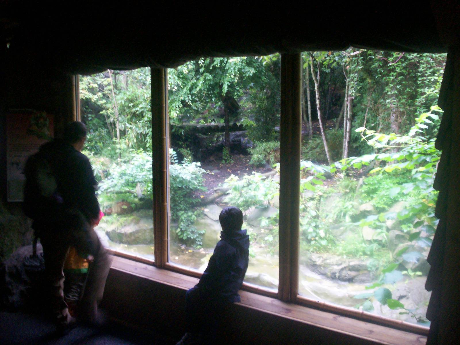 Sumatran tiger enclosure