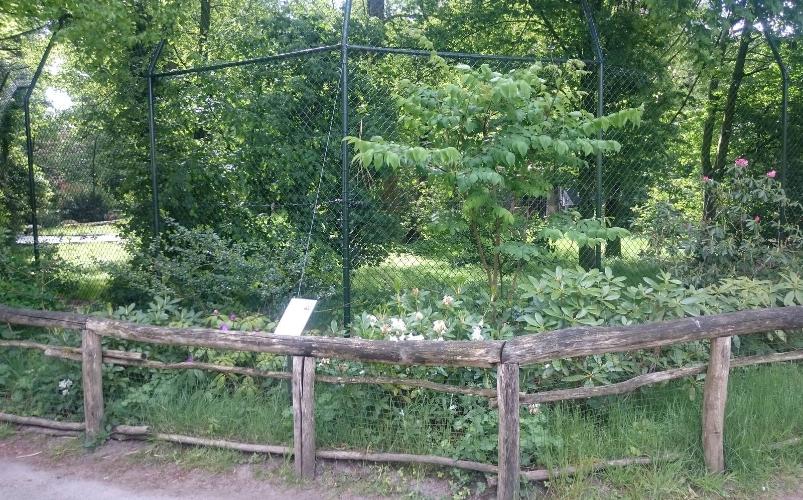 Sumatran tiger enclosure