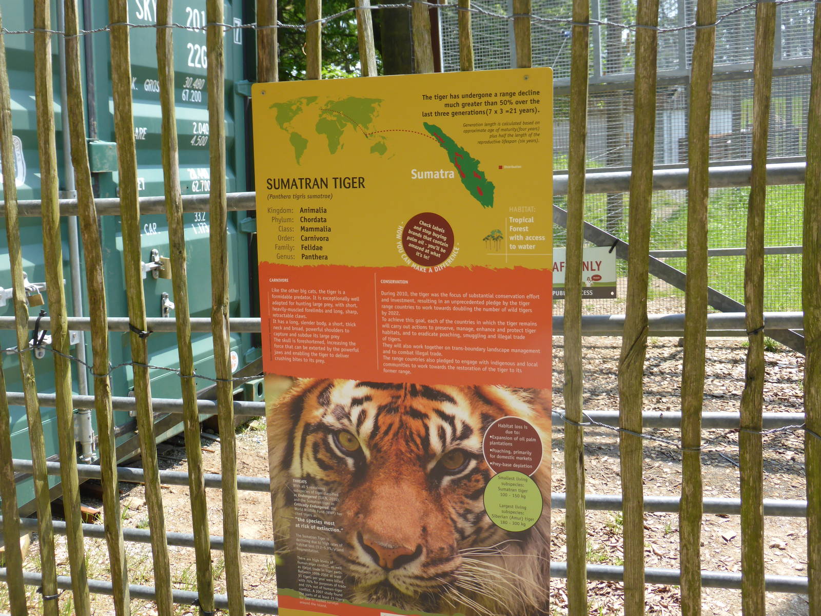 Sumatran Tiger enclosure