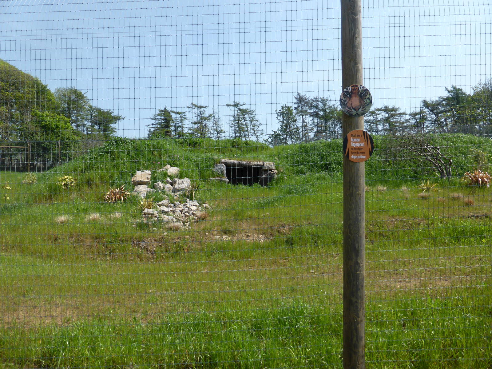 Sumatran Tiger enclosure