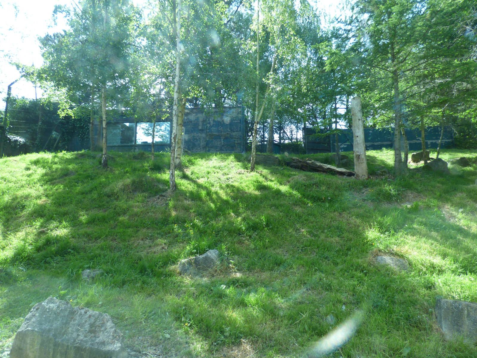 Sumatran Tiger Enclosure