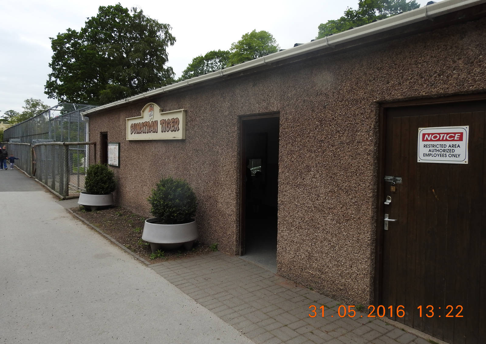 Sumatran Tiger enclosure