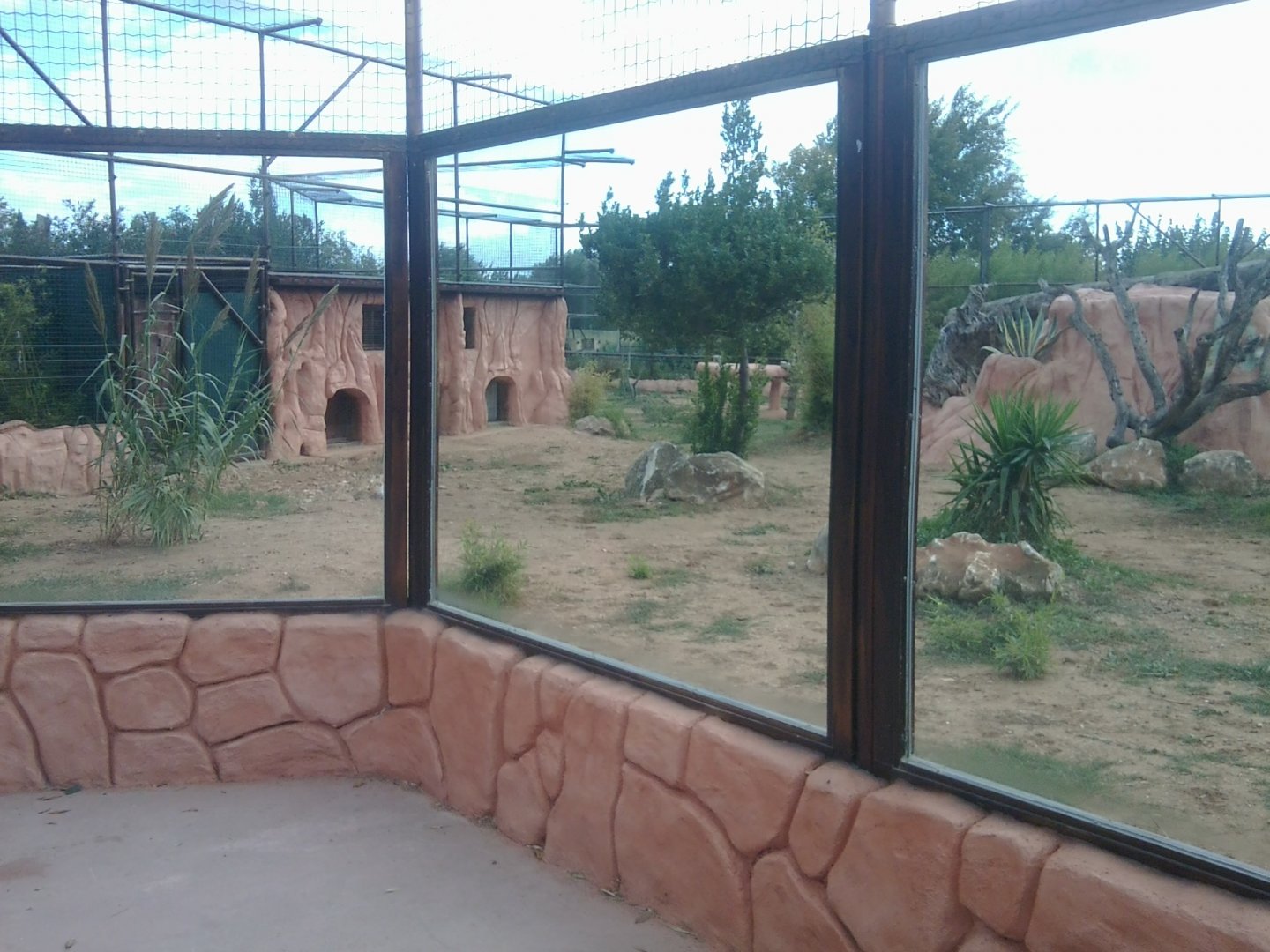 Sumatran tiger enclosure