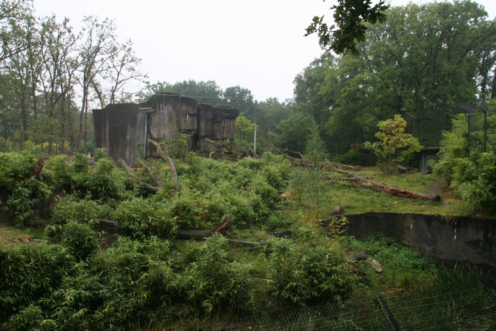 Sumatran tiger enclosure
