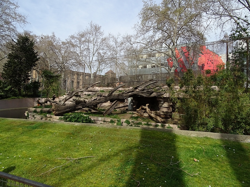 Sumatran tiger enclosure