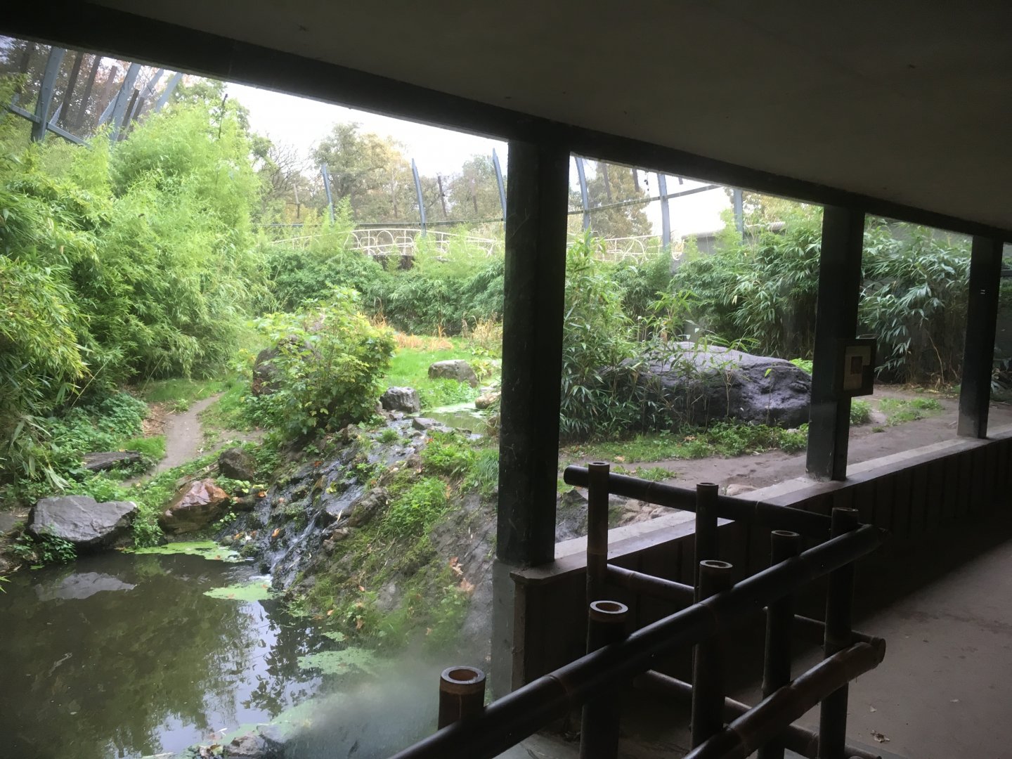 Sumatran tiger enclosure