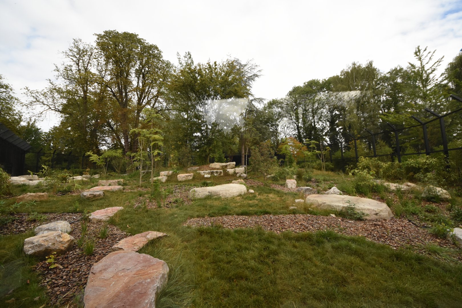 Sumatran Tiger enclosure