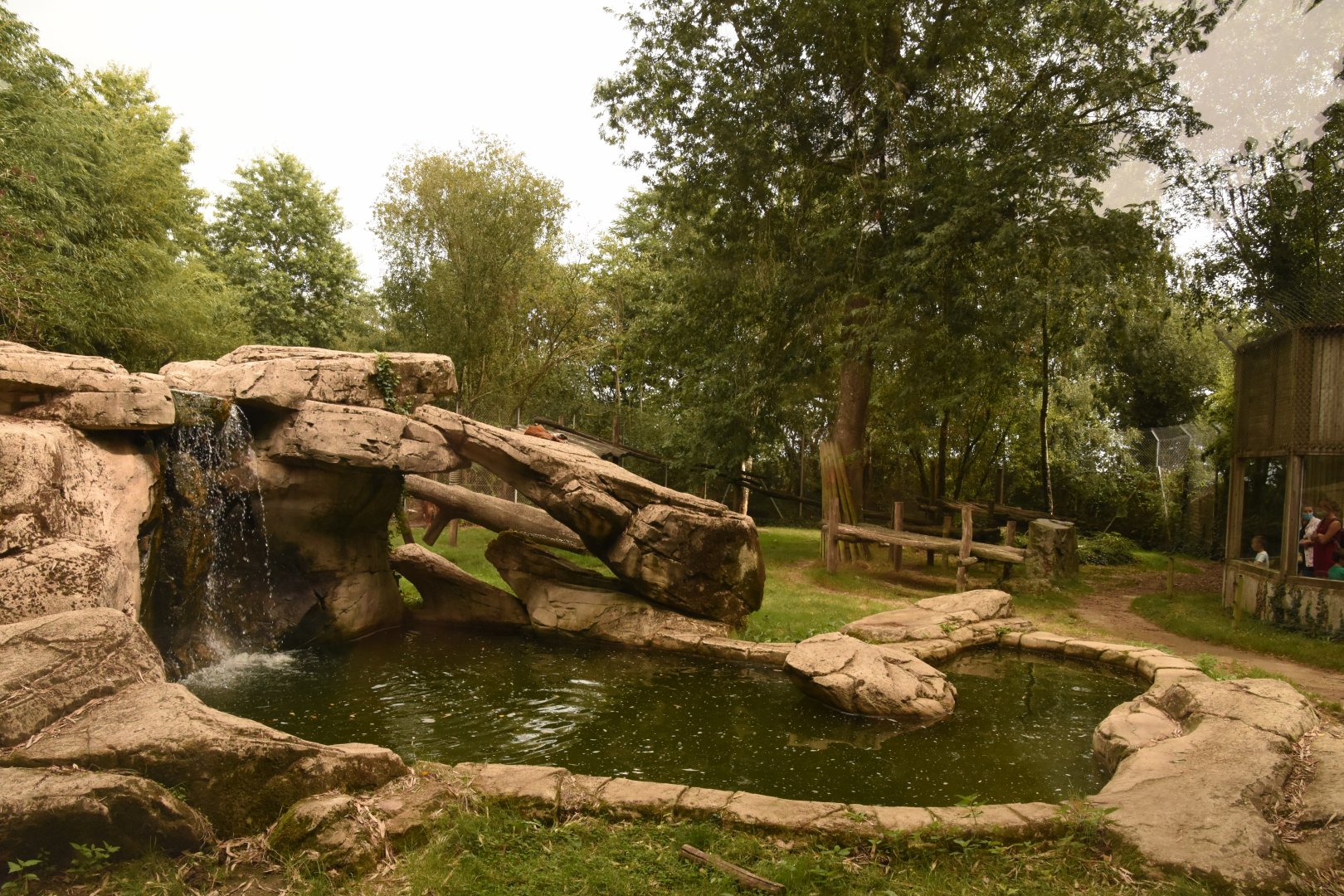 Sumatran Tiger enclosure